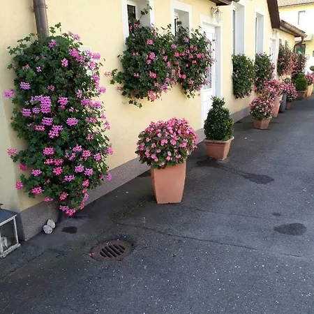 Apartamento Auszeit 3 Mit Gartenterasse Und Gratisparkplatz Leoben (Styria)